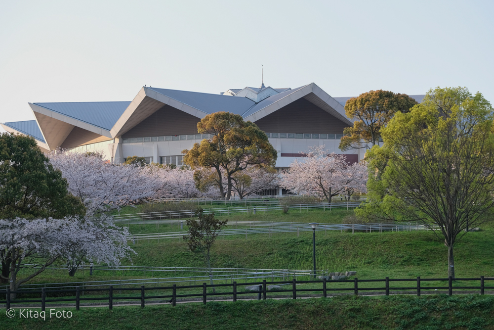 市立総合体育館