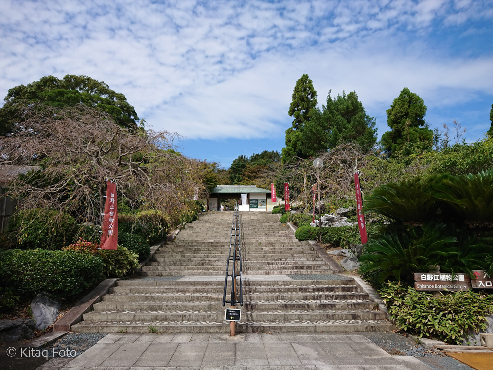 白野江植物公園