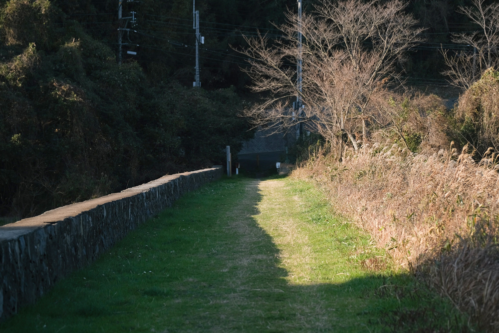 しょうぶ谷キャンプ場_ダムの道