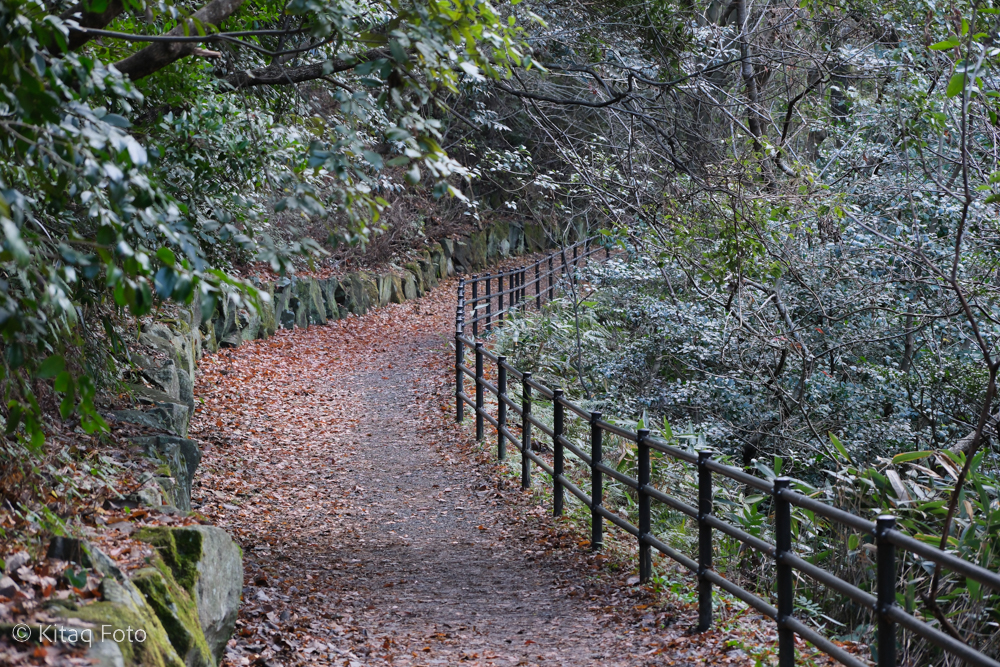 瀬板の森公園の遊歩道２