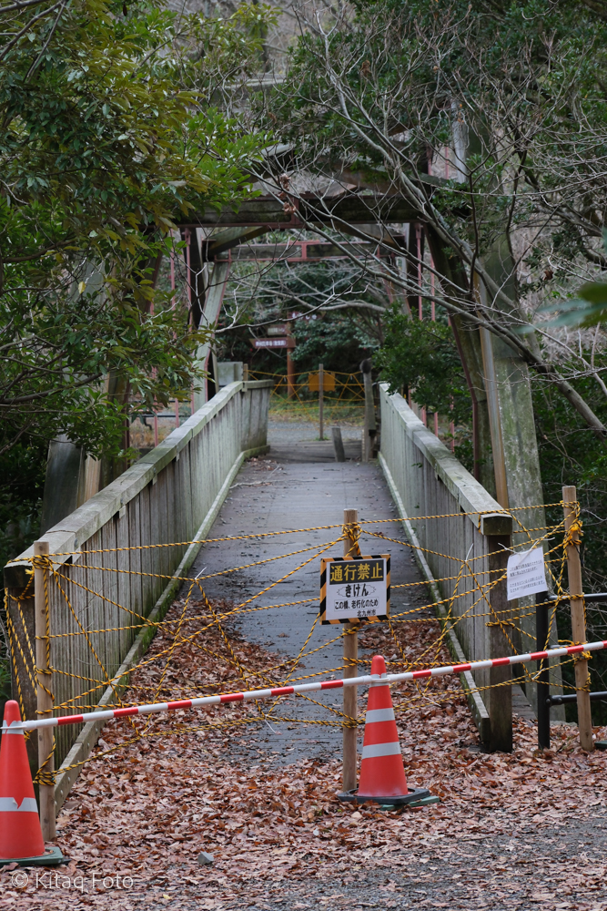 瀬板の森の木の橋１