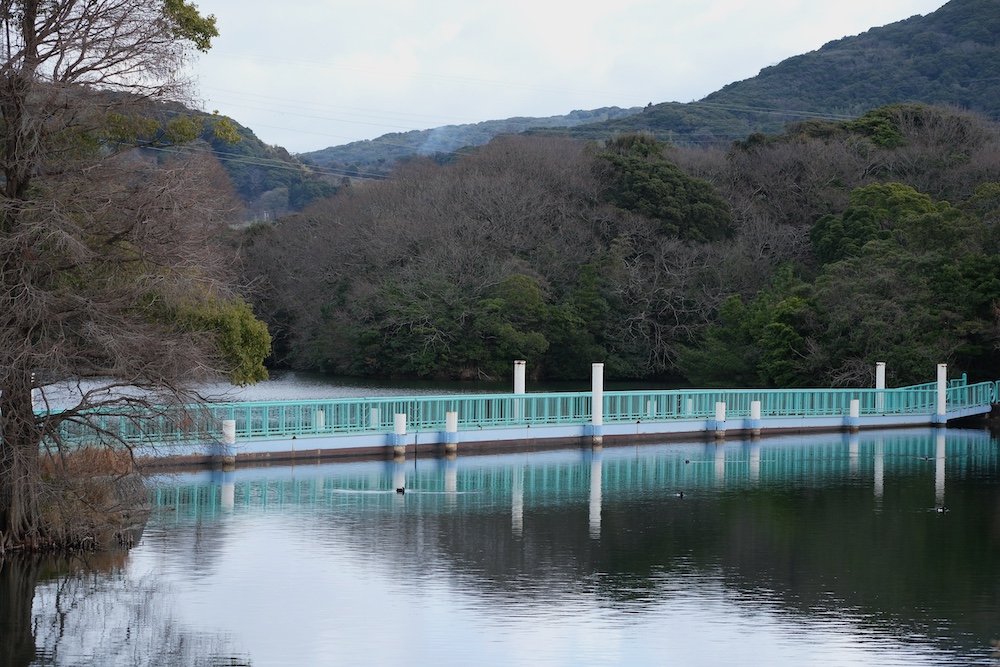 みどりの浮橋